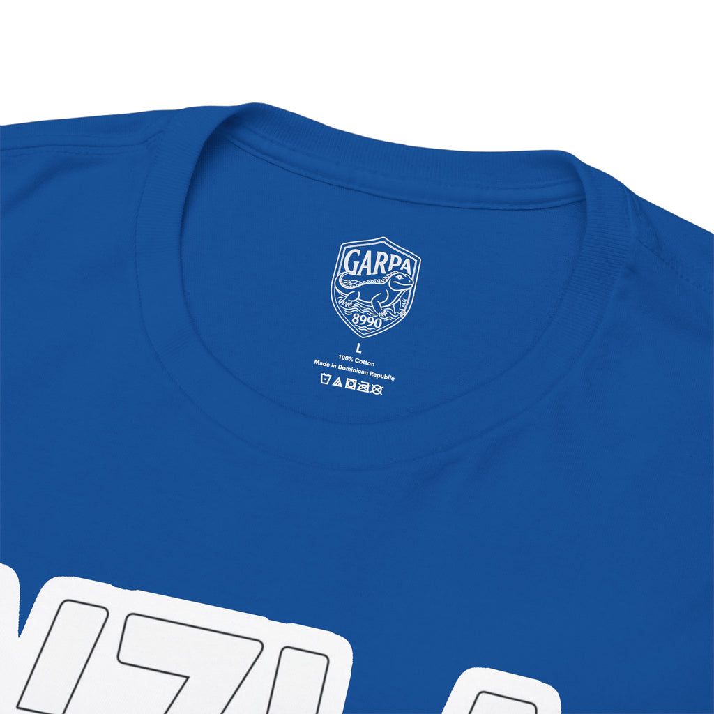 Venezuela Script & VZLA Stars T-Shirt — Retro Venezuelan Pride Tee