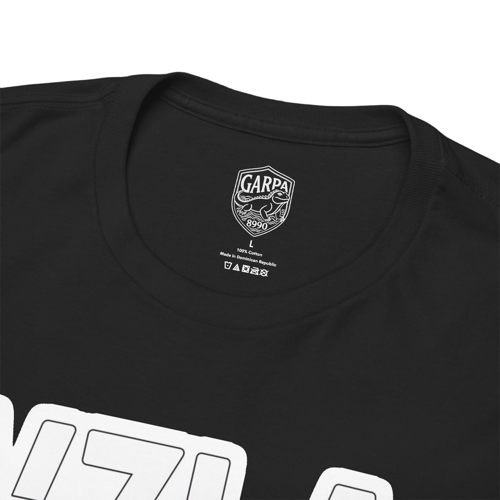 Venezuela Script & VZLA Stars T-Shirt — Retro Venezuelan Pride Tee